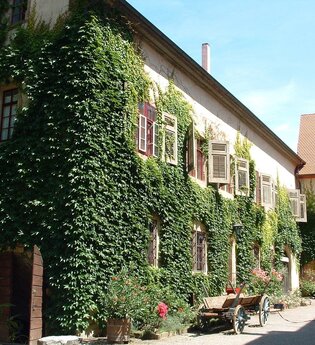 Das Schloss ist von wildem Wein umrankt