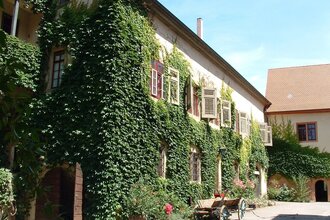 Das Schloss ist von wildem Wein umrankt