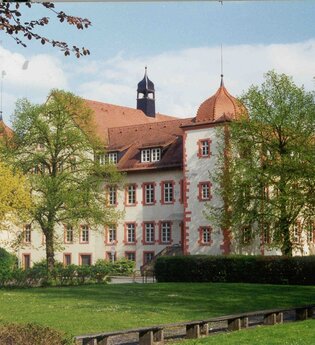 Schloss Flehingen