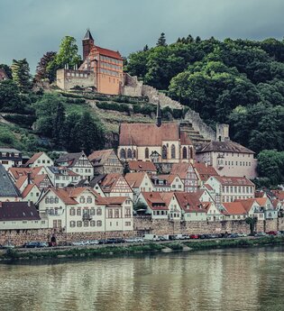 Blick auf Hirschhorn mit Schloss / Odenwald