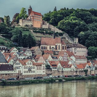 Blick auf Hirschhorn mit Schloss / Odenwald