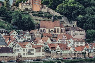 Blick auf Hirschhorn mit Schloss / Odenwald