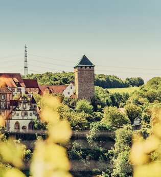 Blick auf eine Schlossanlage zwischen Wald und Weinbergen