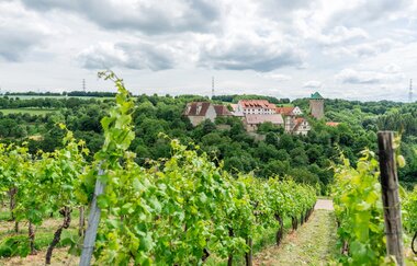 Schloss Liebenstein | Neckarwestheim | HeilbronnerLand