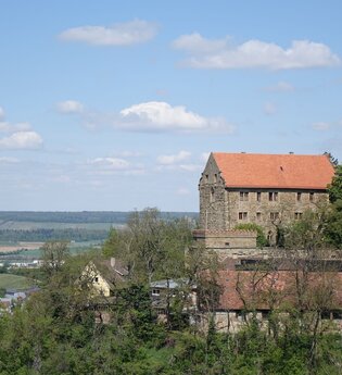 Blick auf Schloss Magenheim in Cleebronn