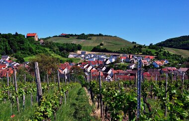 Panoramasicht auf die Gemeine Cleebronn