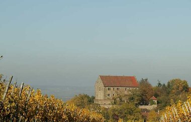 Blick auf Schloss Magenheim | Cleebronn | HeilbronnerLand