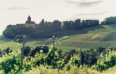 Aussicht vom Schöllkopf auf Schloss Stocksberg