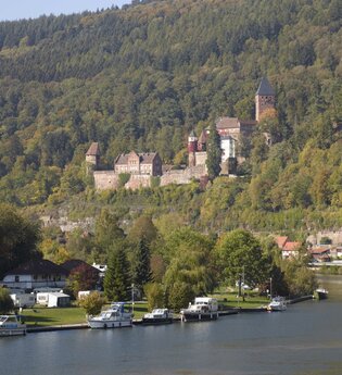 Blick auf Schloss Zwingenberg