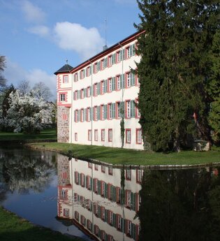 Seitenansicht Wasserschloss Eichtersheim mit See und Bäumen