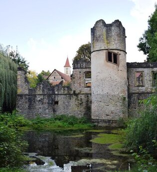 Schlossruine Waibstadt - Daisbach