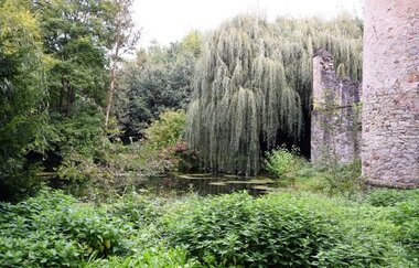 Schlossruine Waibstadt - Daisbach
