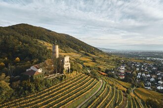 Weinberge mit Burg auf einem Hügel, darunter ein Dorf.