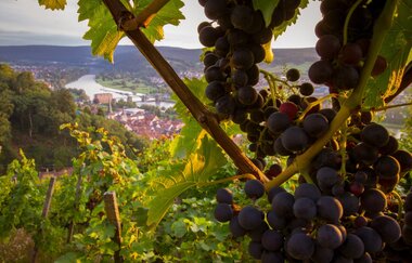 Tourismusregion Churfranken