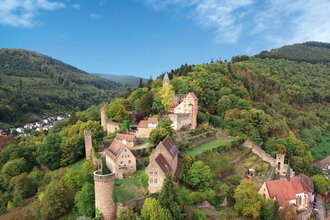 Blick auf Burg Hirschhorn