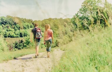 Löwensteiner Bergtouren | Geführte Wanderungen im Naturpark Schwäbisch-Fränkischer Wald | HeilbronnerLand