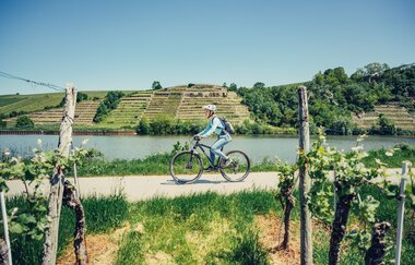 Neckartalradweg Blick auf Katzenbeisser Steillagen Radfahren 06 | HeilbronnerLand