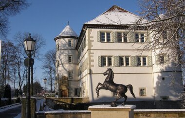 Rappenauer Rappe vor dem Wasserschloss