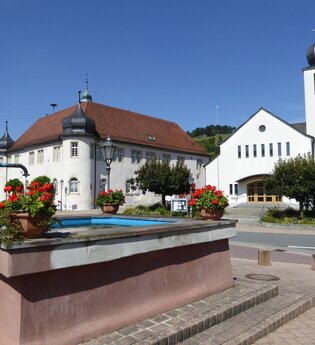 Blick auf das Wasserschloss in Unterschüpf. Im Vordergrund ist ein Sandsteinbrunnen mit Blumenschmuck zu sehen.