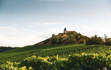 Michaelsberg Cleebronn | Heilbronn