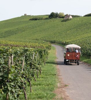 Weinbergrundfahrten mit Weinprobe | Weingut Alexander Bauer | Heilbronn-Sontheim | HeilbronnerLand