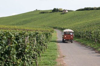 Weinbergrundfahrten mit Weinprobe | Weingut Alexander Bauer | Heilbronn-Sontheim | HeilbronnerLand