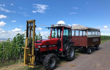 Weinbergrundfahrten mit Weinprobe | Weingut Alexander Bauer | Heilbronn | HeilbronnerLand