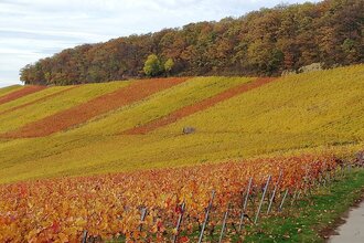 Weingut H.C. Drautz