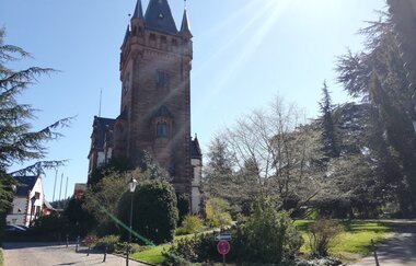 Weinheimer Schloss mit Schlosspark