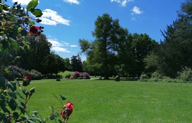 Weinheimer Schloss mit Schlosspark