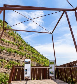 Weininformationspavillon an der Himmelsleiter Besigheim