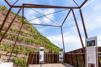 Weininformationspavillon an der Himmelsleiter Besigheim