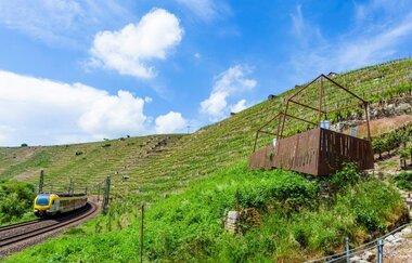 Weininformationspavillon an der Himmelsleiter Besigheim