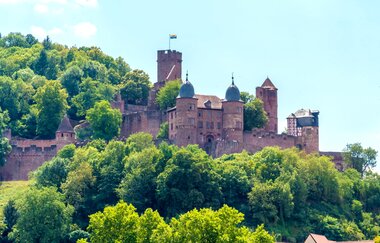 Blick auf die Burg Wertheim - im Sommer - bei strahlendem Sonnenschein und wunderbar grünem Wald im Hintergrund und großen Laubbäumen im Vordergrund