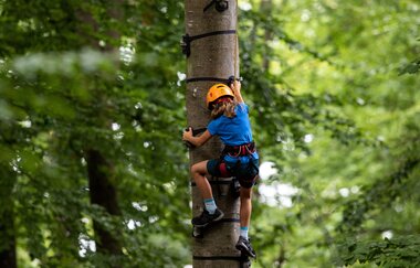 Ein Kind klettert mit Kletterausrüstung einen Baum hoch.