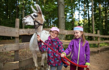 Zwei Kinder führen ein Lama an der Leine