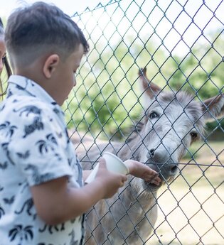 Wildpark Schwarzach