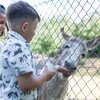 Wildpark Schwarzach