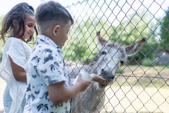 Wildpark Schwarzach