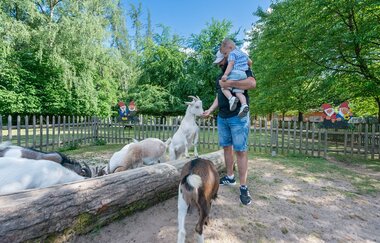 Wildpark Schwarzach