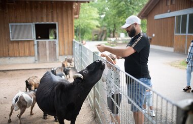 Wildpark Schwarzach