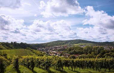 Winzer von Baden eG Wiesloch