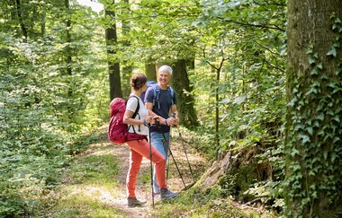 Wandernde im Wald