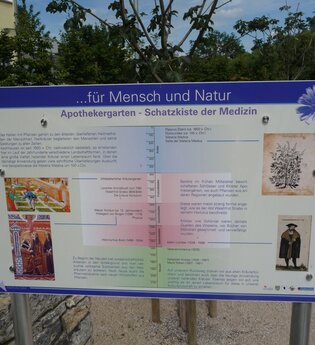 Heilpflanzen- und Kulturlandschaft Aschhausen