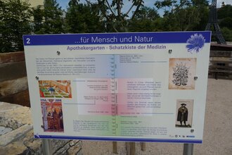 Heilpflanzen- und Kulturlandschaft Aschhausen