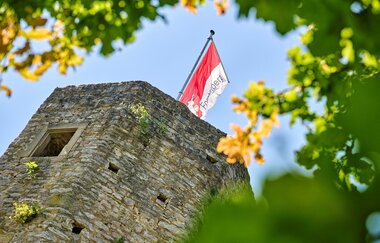 Turm der Ruine Forchtenberg