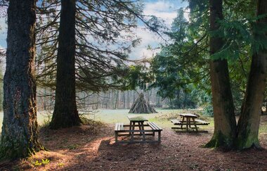 Picknickplatz unter Mammutbäumen im Streitwald am Jagststeig