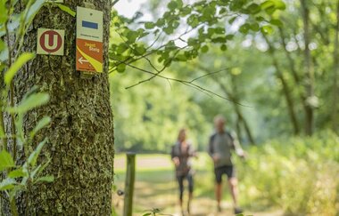 Kocher-Jagst-Trail: Wandern am Jagststeig