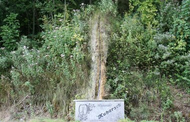 Der Kuharsch erinnert an das Hinterteil einer Kuh