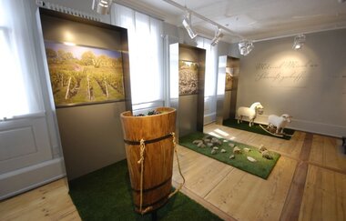 Ausstellung Natur